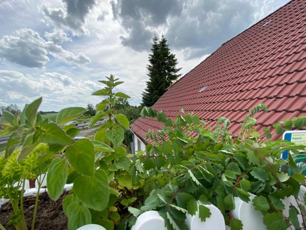 Apartament Familienhof Mueritz Klein Plasten Zewnętrze zdjęcie