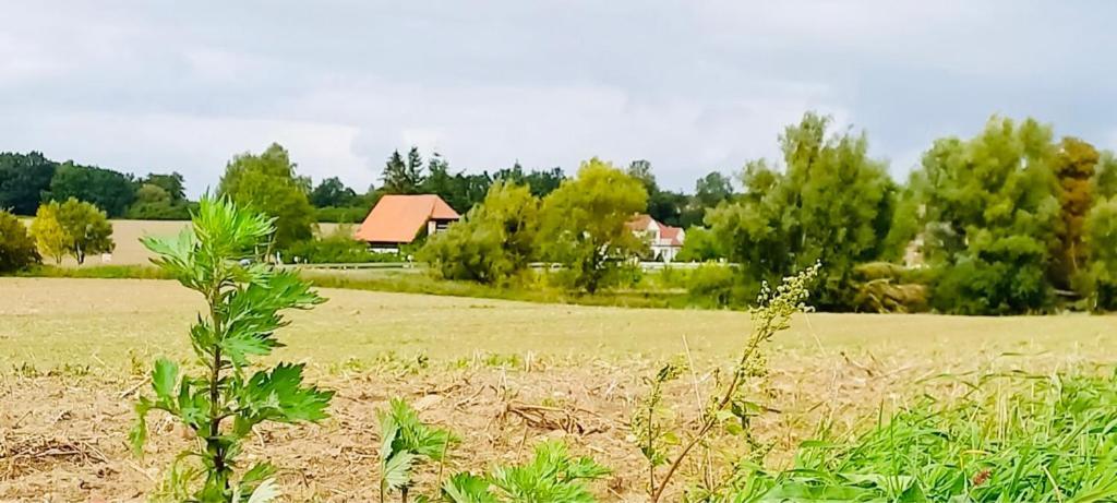 Apartament Familienhof Mueritz Klein Plasten Zewnętrze zdjęcie