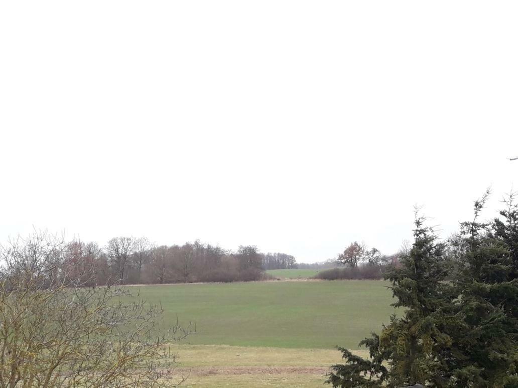 Apartament Familienhof Mueritz Klein Plasten Zewnętrze zdjęcie